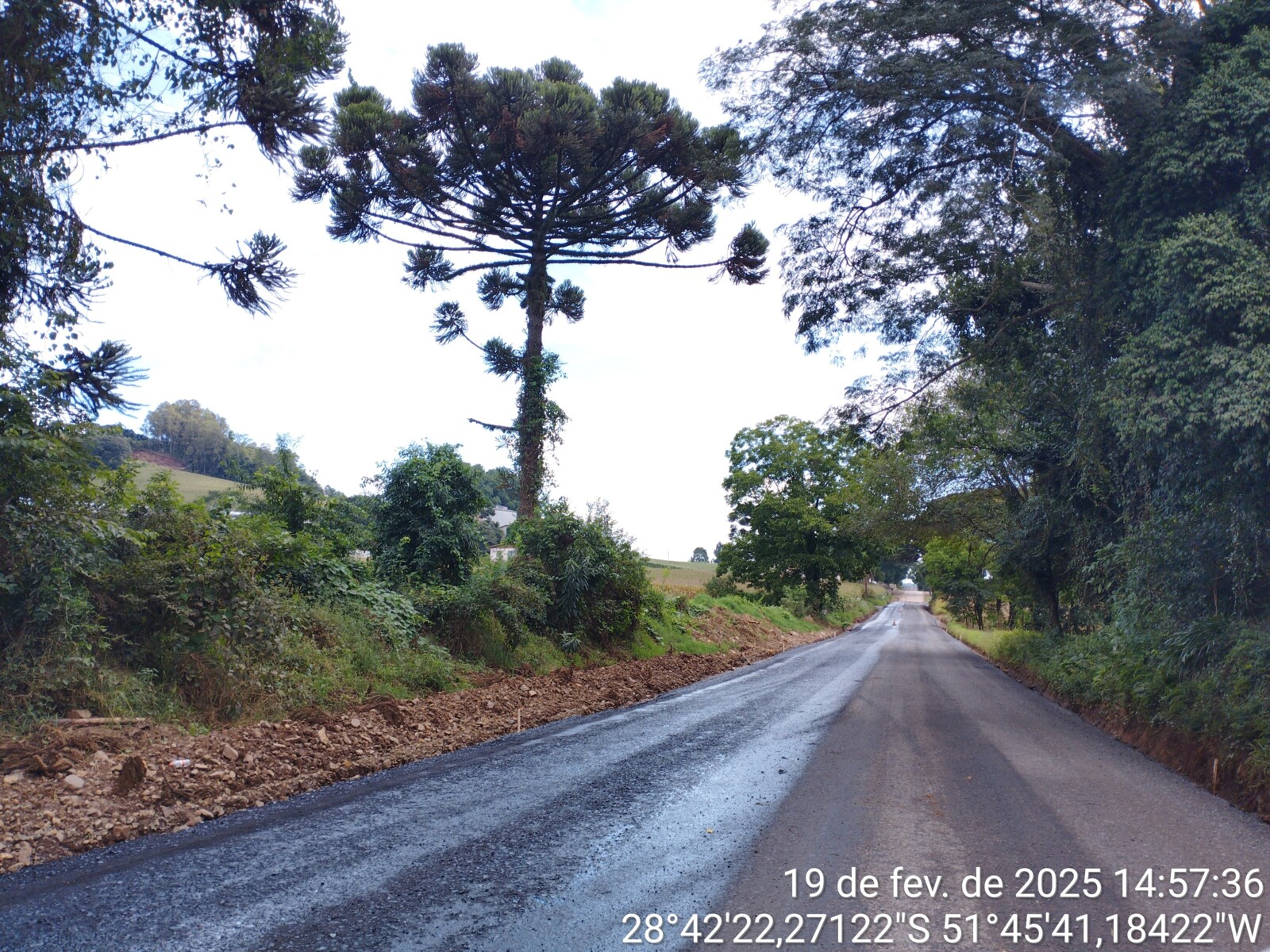 TimePhoto_20250219_145736.jpg